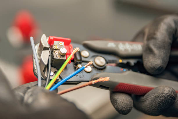 Best Electric Panel Repair  in Buhler, KS